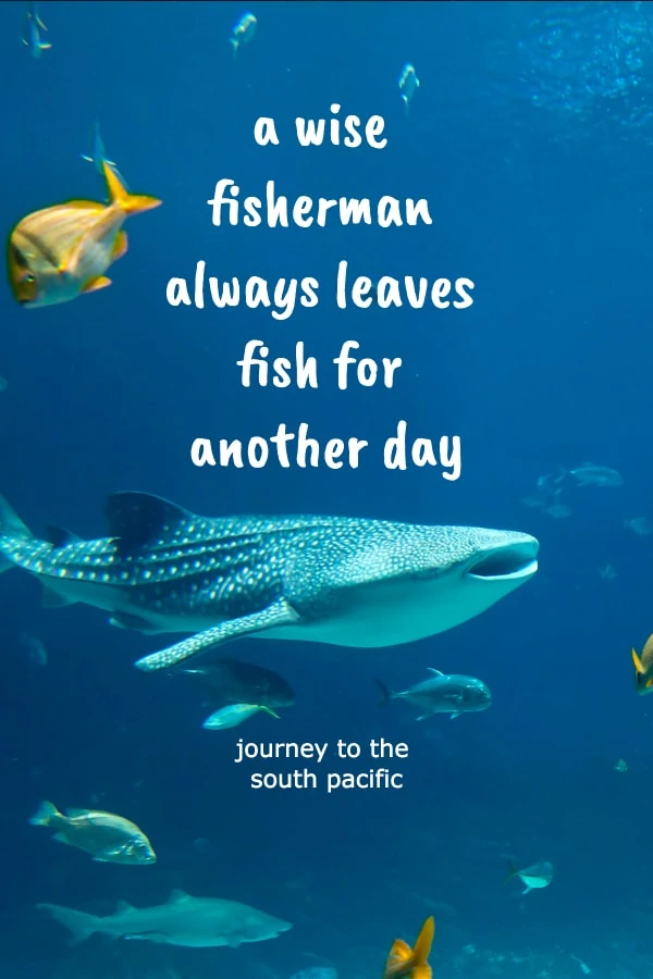 A wise fisherman quote 1