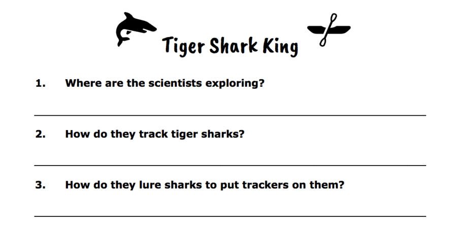 Tiger shark king questions
