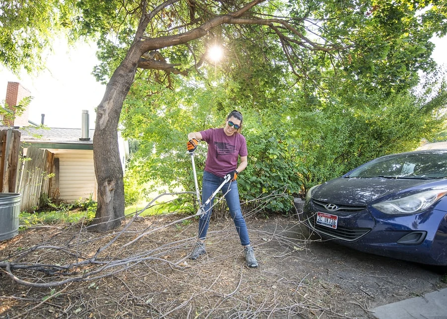 Removing unwanted growth on a tree with stihl loppers helps maintain an organized yard