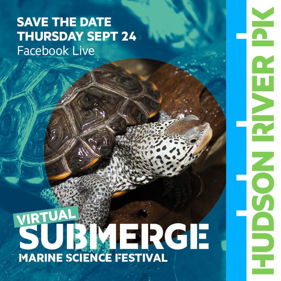 Submerge flyer