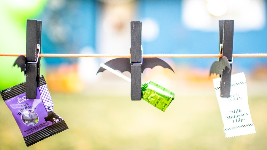DIY Halloween bats