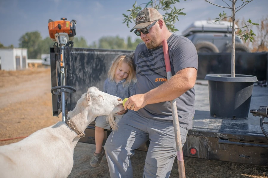 Growing fruit trees with stihl is good for pet goats