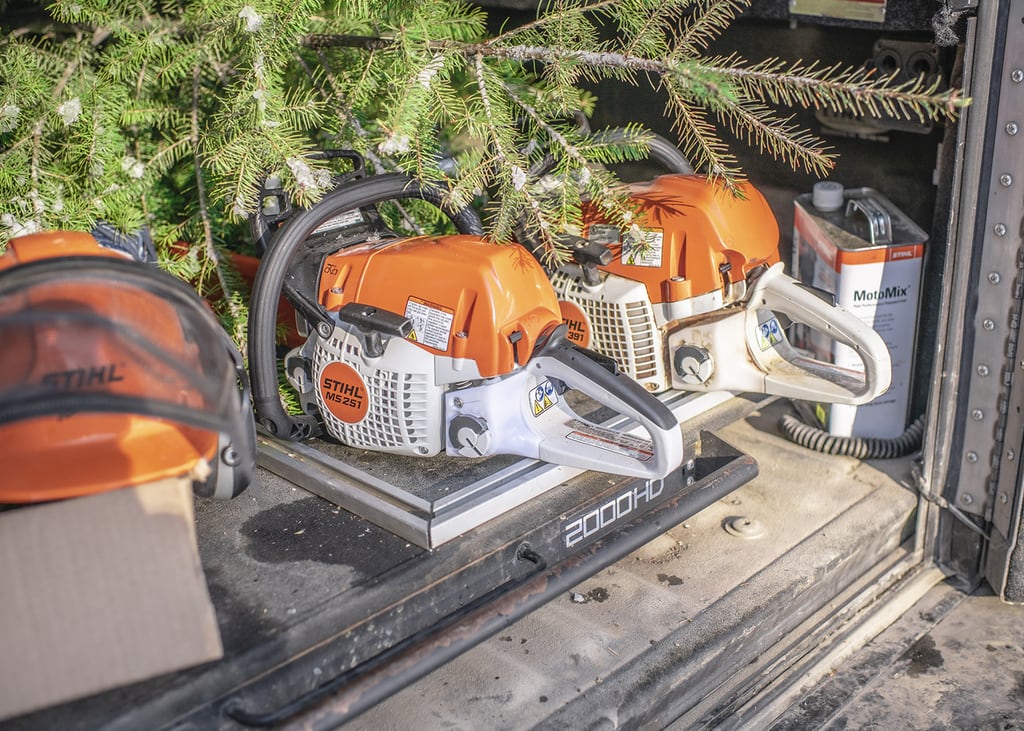Stihl chainsaws to cut your own christmas tree
