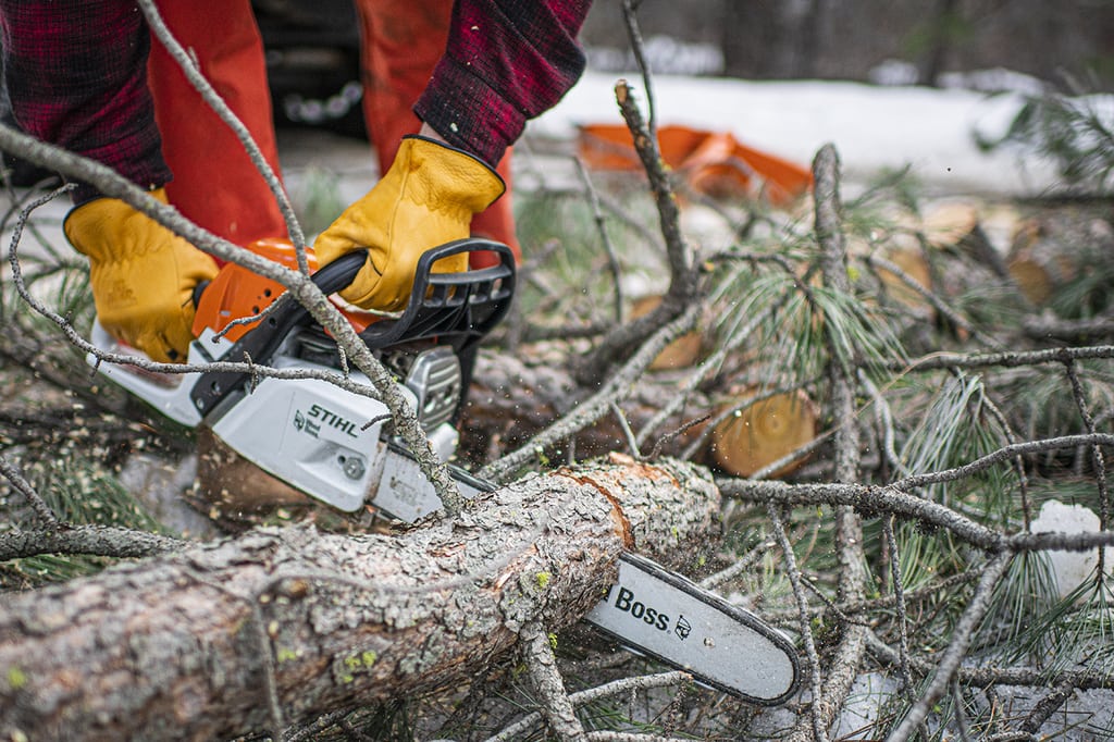 Stihl wood boss cutting through pine tree blocking road 1