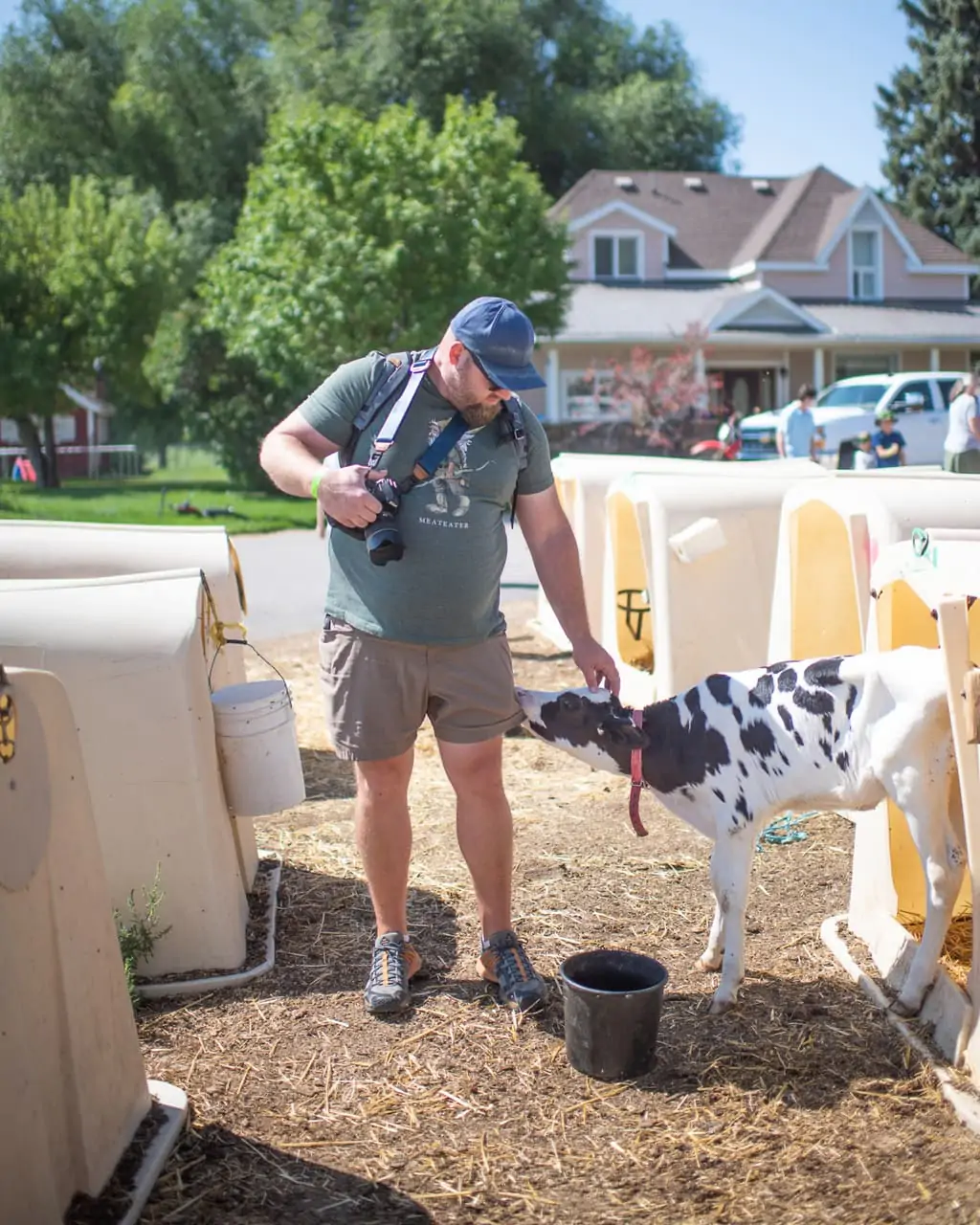 Man with camera petting cow in Utah