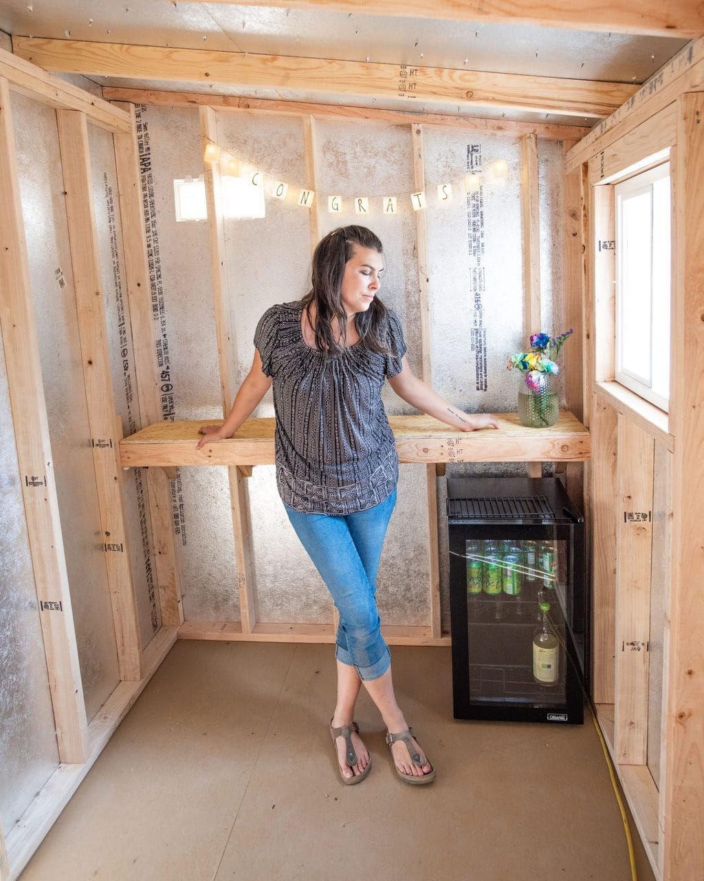 The Best Mini Refrigerator for a She Shed