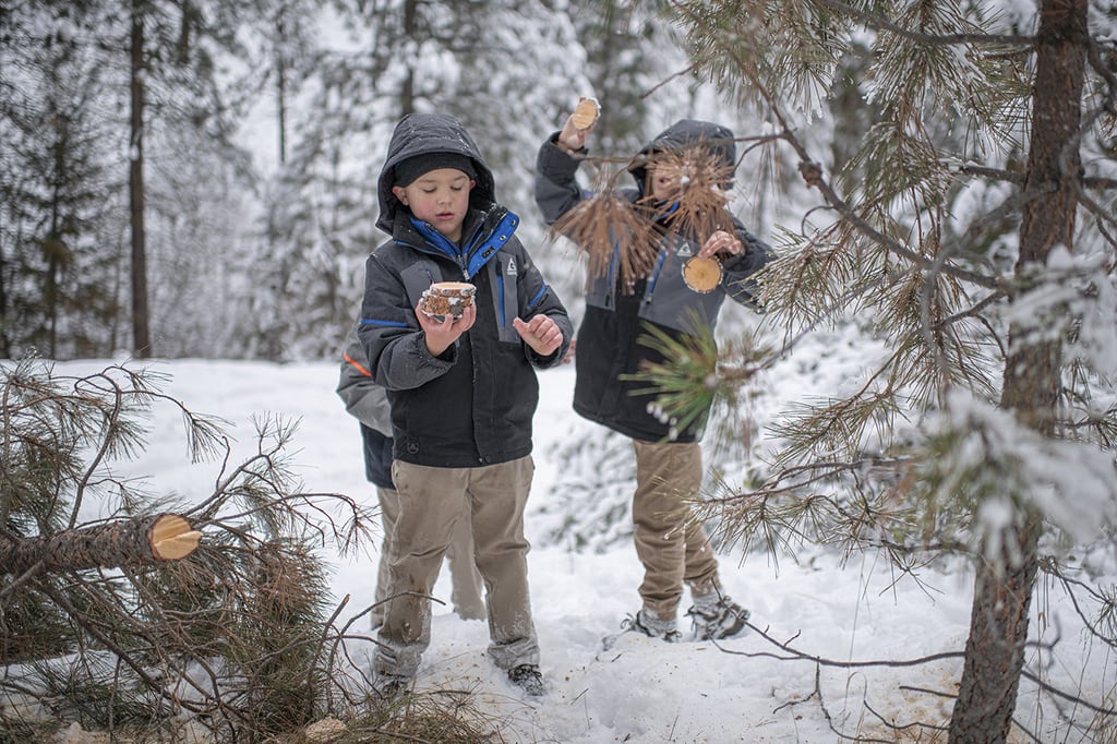 Christmas wood crafts using a Christmas tree and STIHL Chainsaw