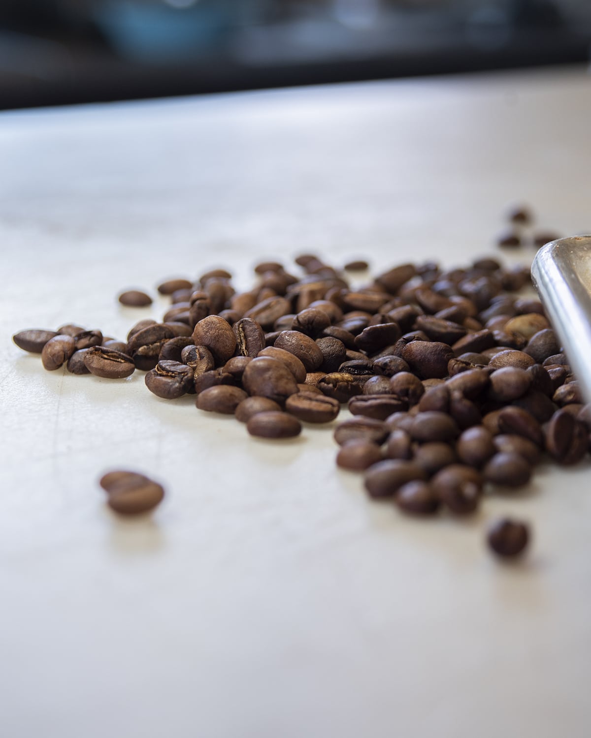 Coffee rub using got your six coffee beans
