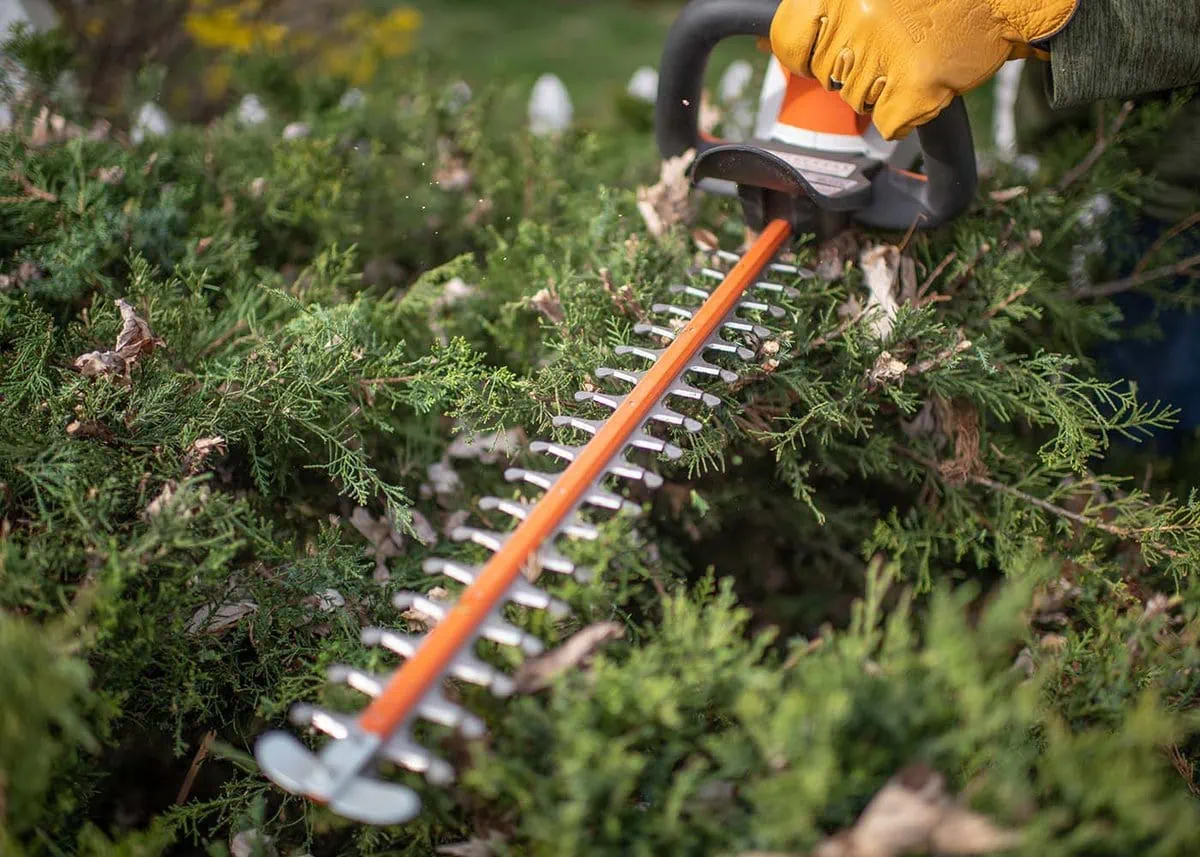 Stihl ak battery powered hedge trimmer for yard work